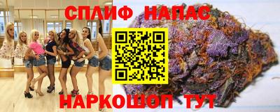 гидра Беслан