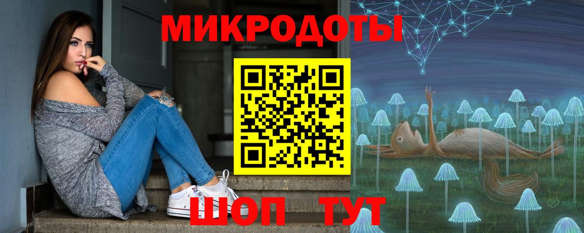 Псилоцибиновые грибы Psilocybe  Вход с VPN  Кириши 