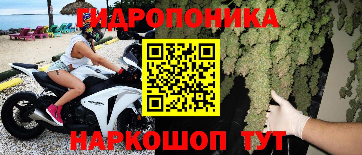Каннабис Ganja Кириши